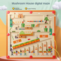 Wooden Magnetic Maze Board
